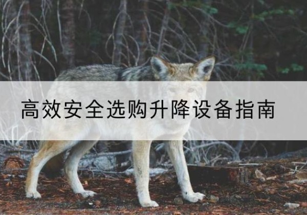 霍州升降货梯厂家推荐-*安全选购升降设备指南