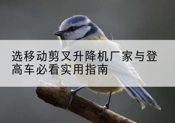 霍州电动升降机厂家-选移动剪叉升降机厂家与登高车必看实用指南