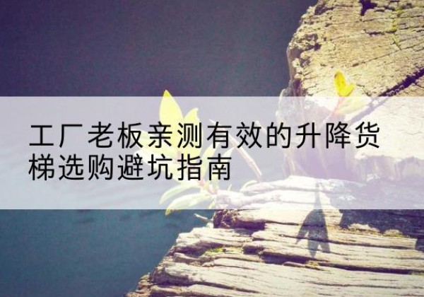 霍州升降货梯怎么选-工厂老板亲测有效的升降货梯选购避坑指南
